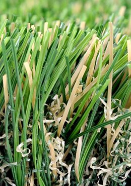 TSゴールドウィシュグリーン