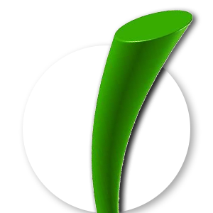 TSゴールドウィシュグリーン