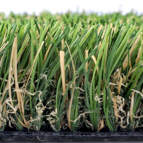 TSゴールドウィシュグリーン